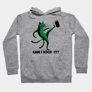 can i kick it - cats Hoodie